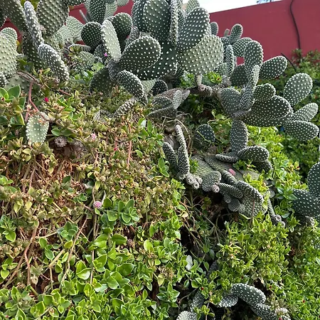 Kuca Za Odmor Perla Nečujam